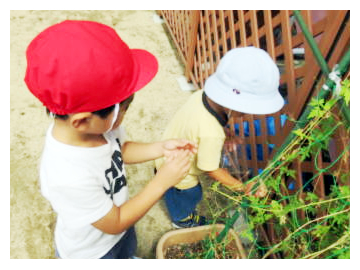 いずみ幼稚園での生活